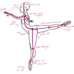 arabesque muscular coordination